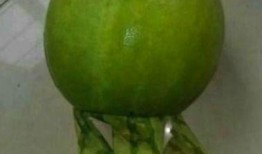 今日吃瓜事件 吃瓜每日大赛,今日热点事件深度解析